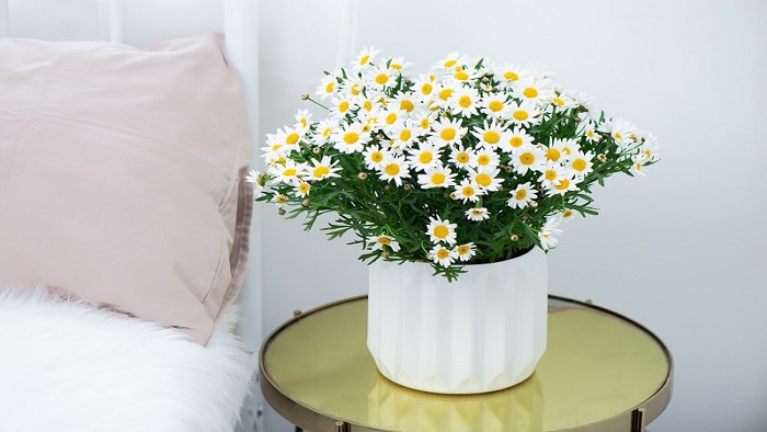 Đông về lại thấy cô đơn